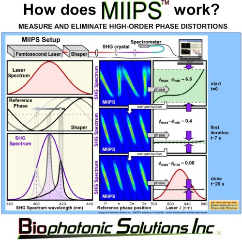 How does MIIPS work?