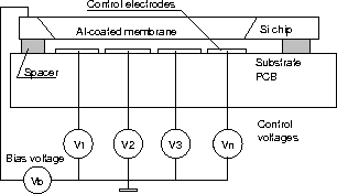 �f�t�H�[�}�u���~���[